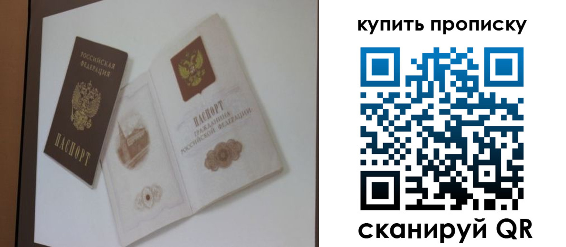 где прописаться в Купино